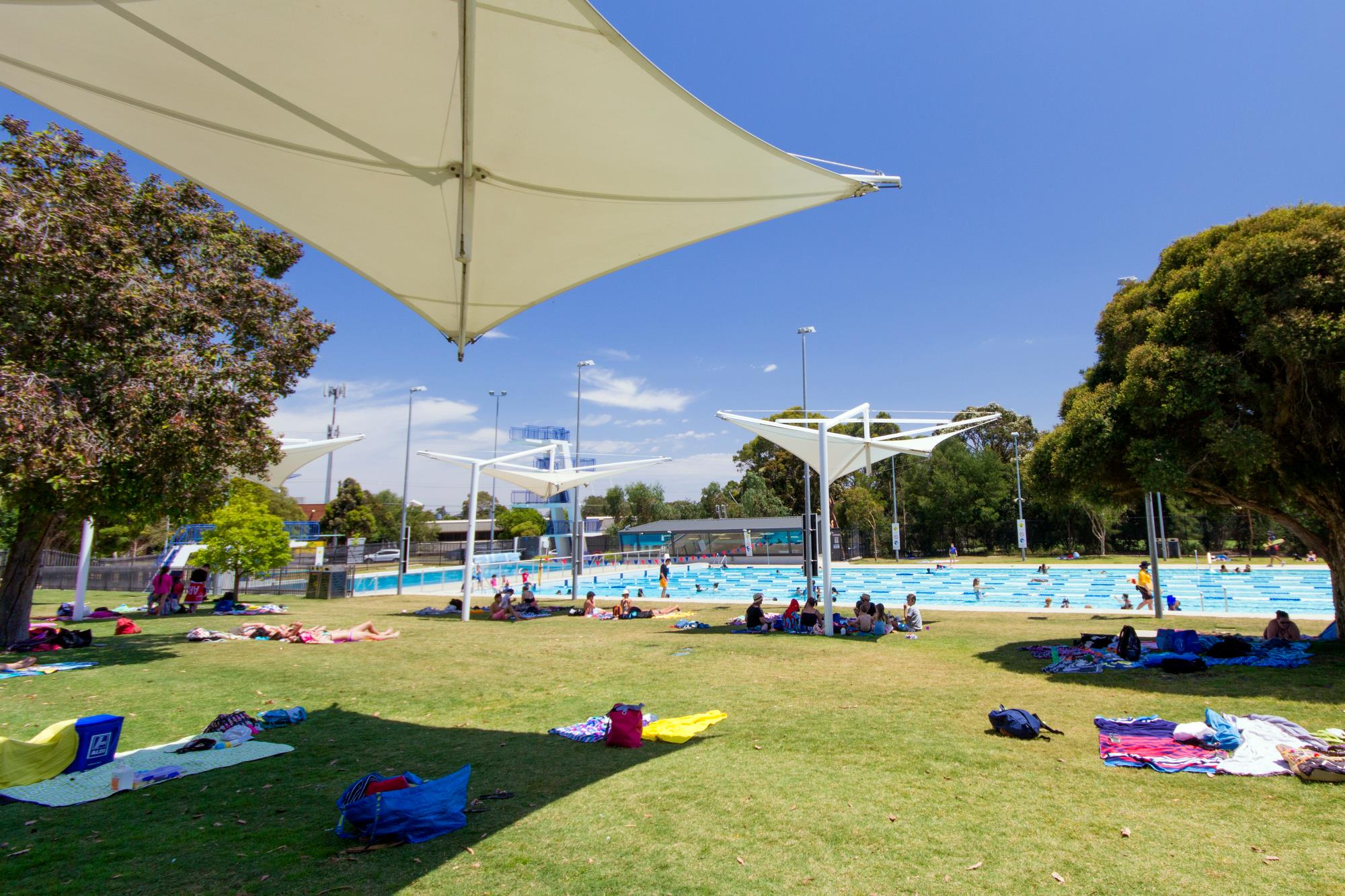 Shade cloth over grass area with pool in the background